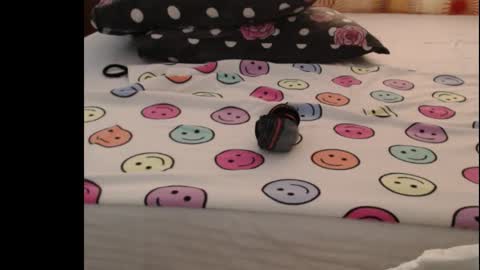 Anne online show from 10-25-25, 05:04