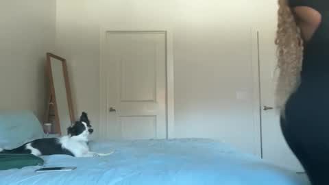 Serenity Bee   online show from 11-17-25, 05:52