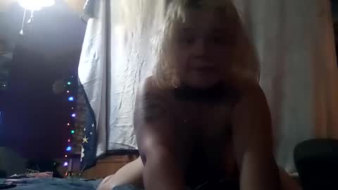 Snapshot of serenityfaith1 chatting on 12-28-24, 04:08 serenityfaith1 online show from 12-28-24, 04:08