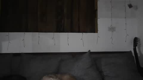 Trixy Rose online show from 01-11-25, 05:41