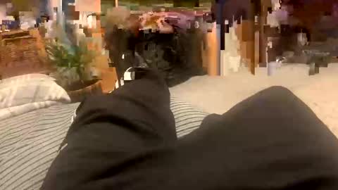 sexpest32 online show from 01-18-26, 09:07