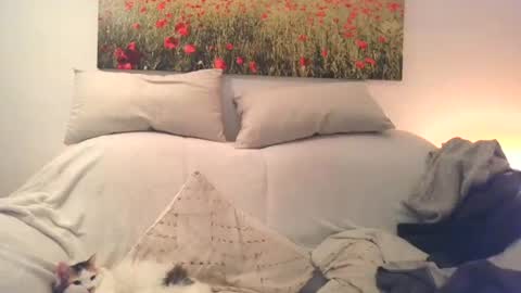 Sexurbation online show from 12-10-24, 03:01