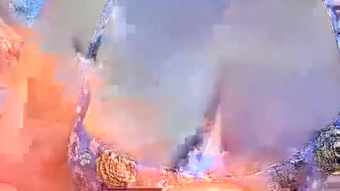 misslovely j online show from 03-02-25, 10:45