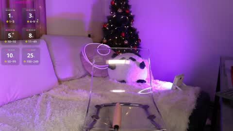 Lina online show from 12-15-24, 08:41