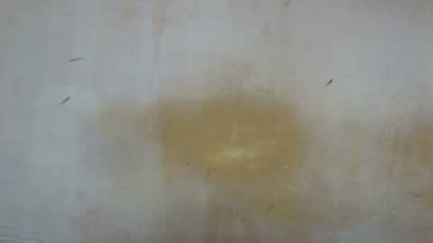 sexy_candy9 online show from 11-11-25, 09:53