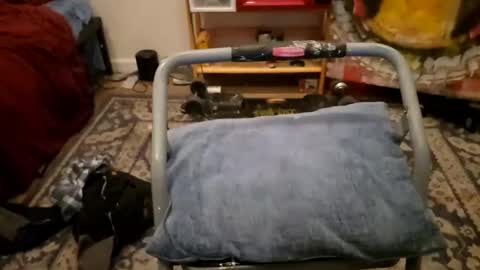 Cayden online show from 01-23-25, 11:58