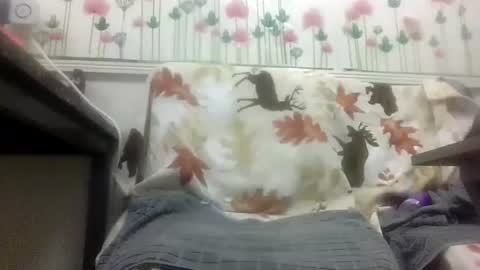 Daddy online show from 02-04-26, 12:00