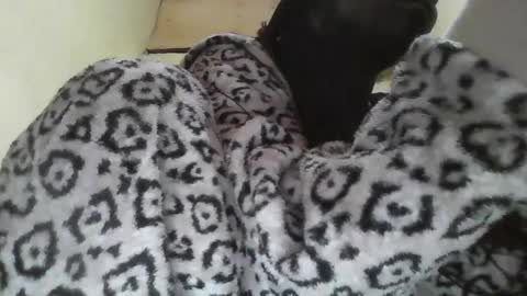 Snapshot of sexyblackg chatting on 01-07-25, 07:31 Sexyblackg online show from 01-07-25, 07:31