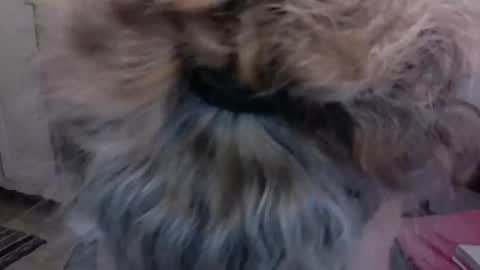 Snapshot of sexyfit58 chatting on 12-15-24, 01:57 SexyFit58 online show from 12-15-24, 01:57