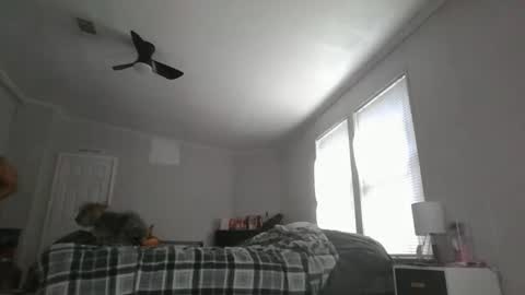 Snapshot of sexyfl440703 chatting on 10-31-25, 03:46 sexyfl440703 online show from 10-31-25, 03:46