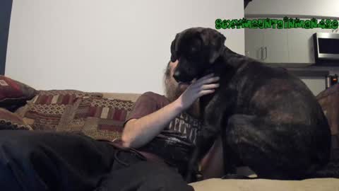 Snapshot of sexymountainman420 chatting on 12-24-24, 07:06 Sexymountainman420 online show from 12-24-24, 07:06