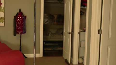 Princess Jackie and Daddy Steve online show from 02-11-26, 12:48