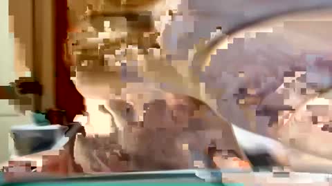 Snapshot of sexyy_red08 chatting on 11-02-25, 06:49 sexyy_red08 online show from 11-02-25, 06:49