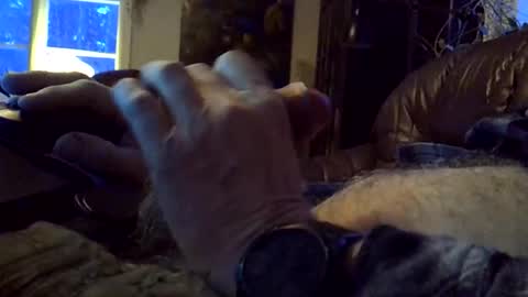 Snapshot of sgthard260486 chatting on 02-09-26, 06:28 sgthard260486 online show from 02-09-26, 06:28