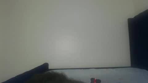 Snapshot of shadow_sweets chatting on 11-29-25, 01:25 Shadow online show from 11-29-25, 01:25