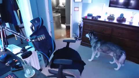 shaftyone4u online show from 01-16-25, 09:40