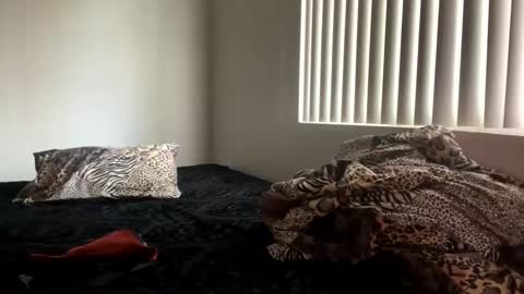 Shaman Woman online show from 12-25-24, 08:07