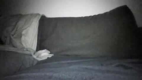 Shorty online show from 12-17-25, 06:14