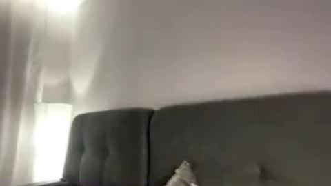 Viola online show from 11-02-25, 08:44