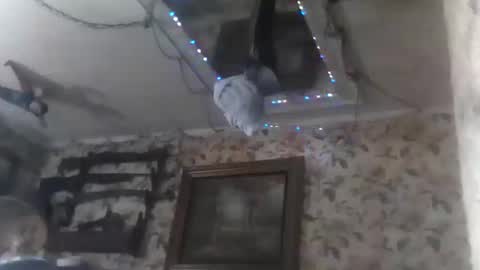 shanelle9270 online show from 09-14-25, 01:49