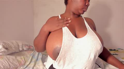 shack03 online show from 12-28-24, 12:04