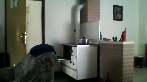 Snapshot of shaomy711 chatting on 12-22-24, 09:44 excelo21 online show from 12-22-24, 09:44