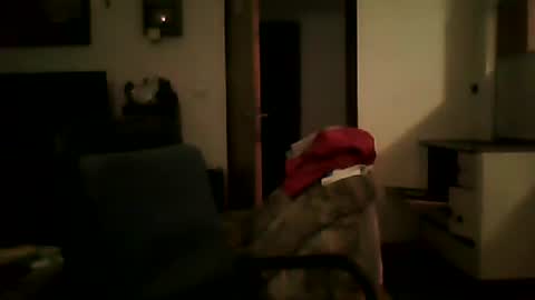 Snapshot of shaomy711 chatting on 01-25-25, 06:02 excelo21 online show from 01-25-25, 06:02