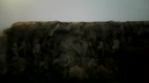 Snapshot of shaomy711 chatting on 02-02-25, 02:13 excelo21 online show from 02-02-25, 02:13