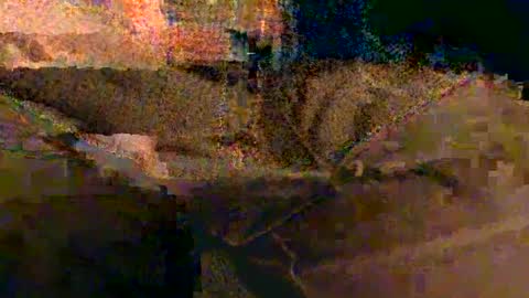 shapelyhelm1 online show from 02-14-25, 08:10