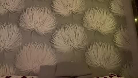 Alica online show from 01-11-26, 08:03