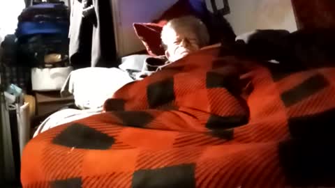 Shamroc online show from 12-04-24, 12:03