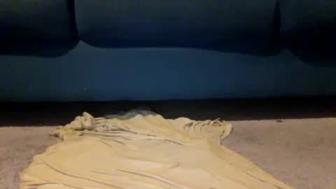 shazbot84 online show from 04-10-26, 04:06