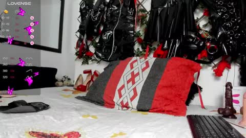 Snapshot of shengyi_blue chatting on 12-29-24, 09:17  anyela7773 online show from 12-29-24, 09:17