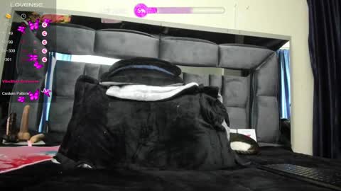 Snapshot of shengyi_blue chatting on 02-25-25, 08:25  anyela7773 online show from 02-25-25, 08:25