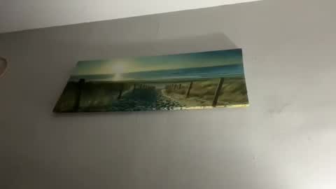 shida109 online show from 11-26-25, 06:09