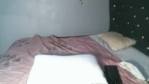 Snapshot of shiro254 chatting on 09-15-25, 11:54 Shi-ro online show from 09-15-25, 11:54