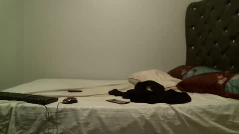 Snapshot of shiro254 chatting on 10-26-25, 08:04 Shi-ro online show from 10-26-25, 08:04