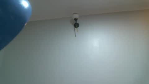 Snapshot of shiro254 chatting on 11-24-25, 10:37 Shi-ro online show from 11-24-25, 10:37