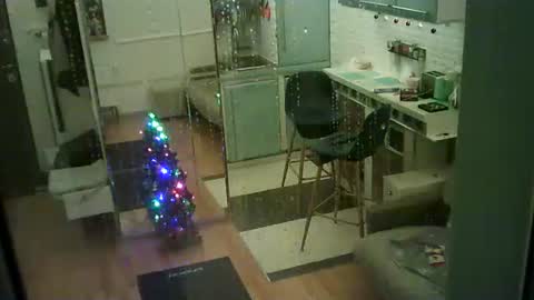 shirogane2004 online show from 01-10-26, 07:37