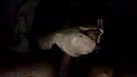 Snapshot of shoot3s__ chatting on 12-14-24, 02:12 shoot3s__ online show from 12-14-24, 02:12