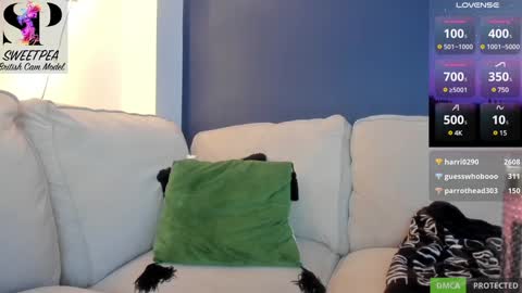 short sweetpea online show from 12-09-24, 08:54