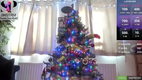 short sweetpea online show from 12-14-24, 01:16