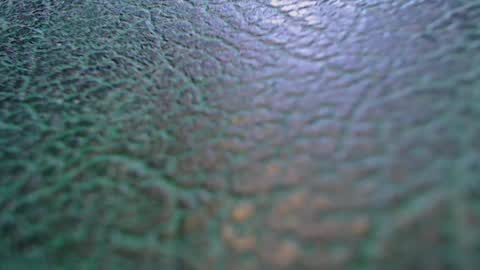 Snapshot of shyredstar chatting on 02-19-26, 06:42 Tom and Betty online show from 02-19-26, 06:42