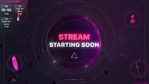 Snapshot of sideswitch chatting on 01-13-25, 02:28 sideswitch online show from 01-13-25, 02:28