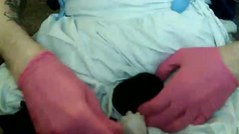 Snapshot of sillymaxxing chatting on 11-17-25, 03:29 limpgoon online show from 11-17-25, 03:29