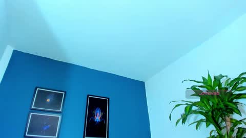 silvabranko online show from 11-09-25, 01:04