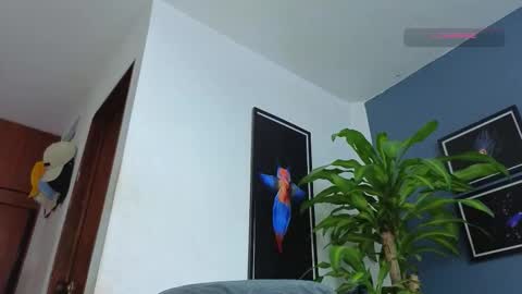 silvabranko online show from 12-18-25, 12:17