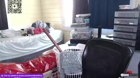 Snapshot of silver_willow chatting on 12-16-24, 04:49 Willow online show from 12-16-24, 04:49