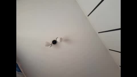 Snapshot of simpledi chatting on 03-10-25, 07:42 simpledi online show from 03-10-25, 07:42