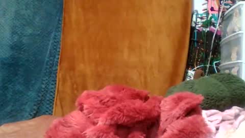 Siofra online show from 11-16-25, 04:51